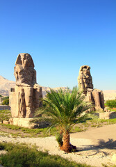 Wall Mural - colossi of memnon in Luxor Egypt