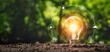 Leinwandbild Motiv light bulb in nature with icon eco. concept clean energy save earth