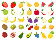 Fruit Collection Set Illustration Cartoon