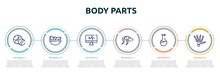 Body Parts Concept Infographic Design Template. Included Medicines Time, Vegetarian Diet, Heartbeats Monitoring, Sperms, Test Tube And Flask, Human Hand Bones Icons And 6 Option Or Steps.