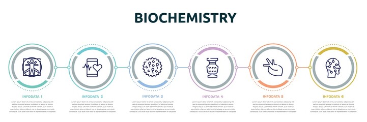 Wall Mural - biochemistry concept infographic design template. included vitruvian man, medical app, ovule, antique, organ, artificial icons and 6 option or steps.