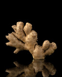 Fototapeta Kuchnia - Fresh ginger root on black background with reflection