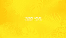 Colourful Luxurious Summer Background With Palms And Tropical Summer Leaves. Luxury Minimal Style Wallpaper