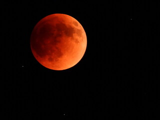 Wall Mural - Lunar Eclipse