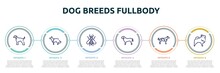 Dog Breeds Fullbody Concept Infographic Design Template. Included Afghan Hound, Collie, Null, English Mastiff, Dalmatian, Pomeranian Icons And 6 Option Or Steps.