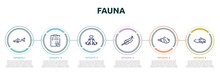 Fauna Concept Infographic Design Template. Included Big Shark, Dog Health List, Couple Of Dogs, Feathers, Conch, Gold Fish Icons And 6 Option Or Steps.