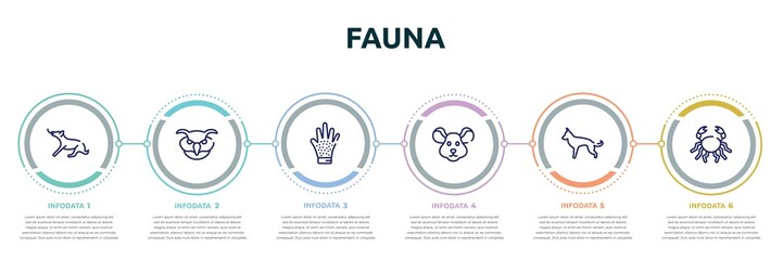 fauna concept infographic design template. included dog playing, owl head, grooming glove, mouse head, german shepherd, big crab icons and 6 option or steps.