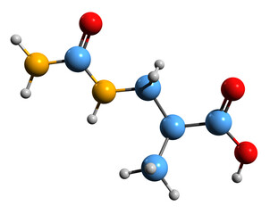 Wall Mural -  3D image of beta-Ureidoisobutyric acid skeletal formula - molecular chemical structure of metabolite isolated on white background
