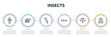 Insects Concept Infographic Design Template. Included Statue, Hermit Crab, Seahorse, Torch, Picnic Table, Stag Beetle Icons And 6 Option Or Steps.