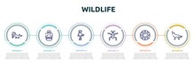 Wildlife Concept Infographic Design Template. Included Skunk, Canteen, Explorer, Gerridae, Snowflakes, Wolf Icons And 6 Option Or Steps.