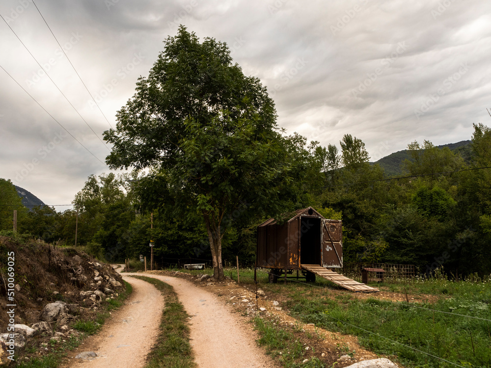 imagen camino de tierra con un árbol y una cuadra de caballos en un ...
