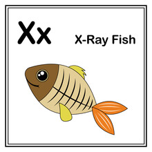 Cute Children ABC Animal Alphabet X Letter Flashcard Of X-ray Fish For Kids Learning English Vocabulary.