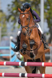 Fototapeta Nowy Jork - The rider on horseback overcomes the obstacle during the equestrian event
