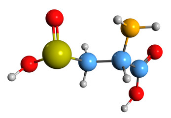 Poster - 3D image of Cysteine sulfinic acid skeletal formula - molecular chemical structure of  amino acid isolated on white background