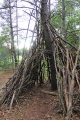 Wall Mural - teepee in the forest