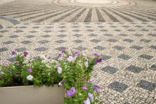 Flowers And Traditional Pavement In Leiria, Portugal