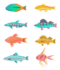 Wall Mural - Red zebra and jewel cichlid set of tropical fish. Colorful cold-blooded animals of marine and ocean environment, isolated on vector illustration