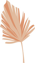 Boho Dry Palm Leaf / Tree Branch Illustration