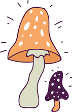 Hand Drawn Magic Amanita / Agaric Mushrooms Halloween Illustration