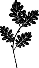 Wall Mural - Black Textured Oak Leaves Branch Illustration
