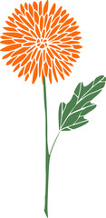 Wall Mural - orange mums flower leaf illustration