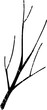 Black Textured Bare Branch Illustration
