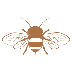 Bee line illustration