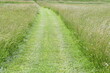 © Steve - Mowed Path in a Field