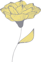 Yellow flowers and leaves vector hand drawn illustration