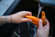 Freshly Picked Carrots In The Sink