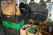 Boxes and bags with Organic vegetable in the car
