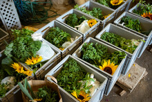 Boxes With Organic Vegetable