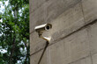 © Alba Vitta/Stocksy - security camera on concrete wall