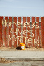 Homeless Lives
