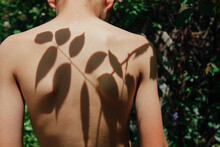 Child In Nature With Leaf Shadows