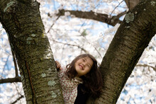 Happy Child Up In A Tree