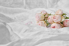 Pink tender roses lying on bed with crumpled sheet