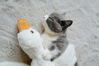 © Rein Cheng/Stocksy - cat sleeping with doll goose