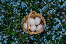 Duck Eggs In A Basket Amongst Flowers