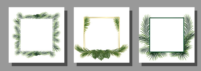 set of frame with palm leaf