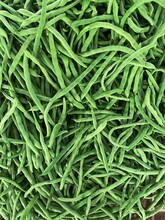 Long Green Beans Pattern
