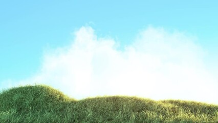 Wall Mural - grass wind slow with blue sky background loop. background on a seamless loop.