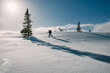 © VISUALSPECTRUM/Stocksy - Anonymous Solo Skier on Cold Sunny Winter Day