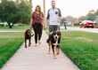 © Maria Manco/Stocksy - Couple walks their dogs down the sidewalk