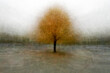 © Richard Johnston/Stocksy - 120 Trees Merged into One