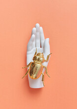 Plastic Mannequin Hand Holds Golden Bug.