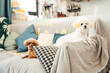 © MaaHoo Studio/Stocksy - Pet dogs at home