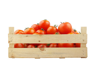 Wall Mural - Many tomatoes in wooden crate or box isolated on white background.