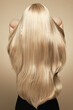 Leinwandbild Motiv Back view of woman with long beautiful blond hair isolated on beige background. Dyeing and hair care. Shiny smooth blonde hair