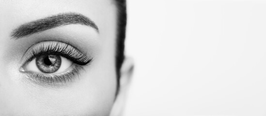 Wall Mural - female eye with extreme long false eyelashes. eyelash extensions. makeup, cosmetics, beauty. close u